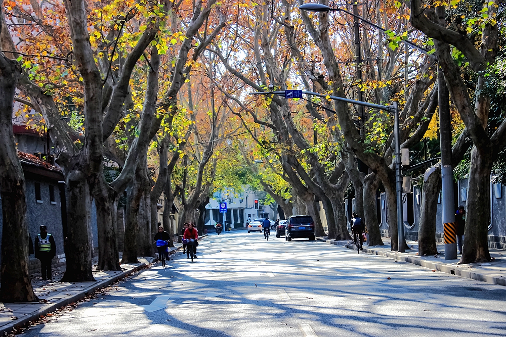 上海法租界一日游,上海旧法租界旅游攻略