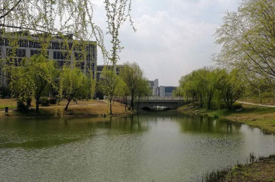 最详实的录取数据告诉考生，考入中国矿业大学要多少分