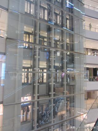 在成都看ifs熊猫,成都ifs上的爬墙大熊猫