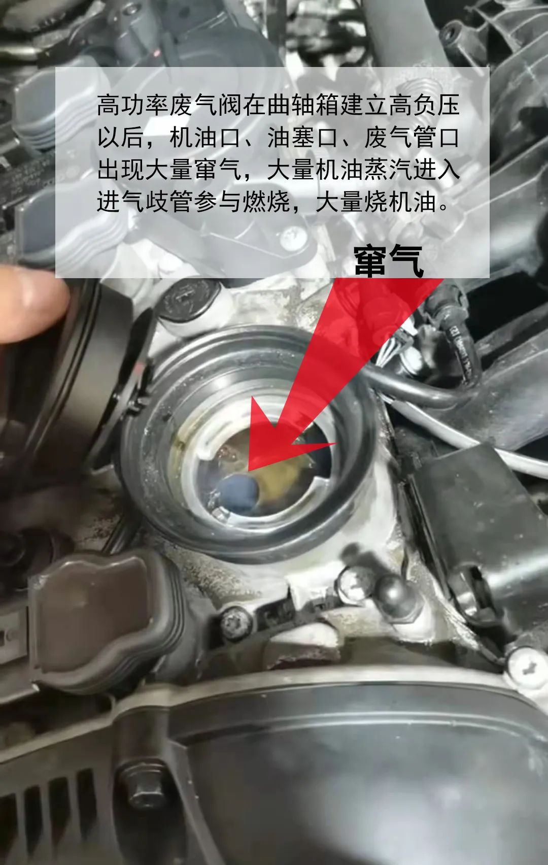 郭子聊车,郭子聊车靠谱否