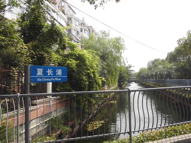 这里有美丽如画的校园风光,原平路学校