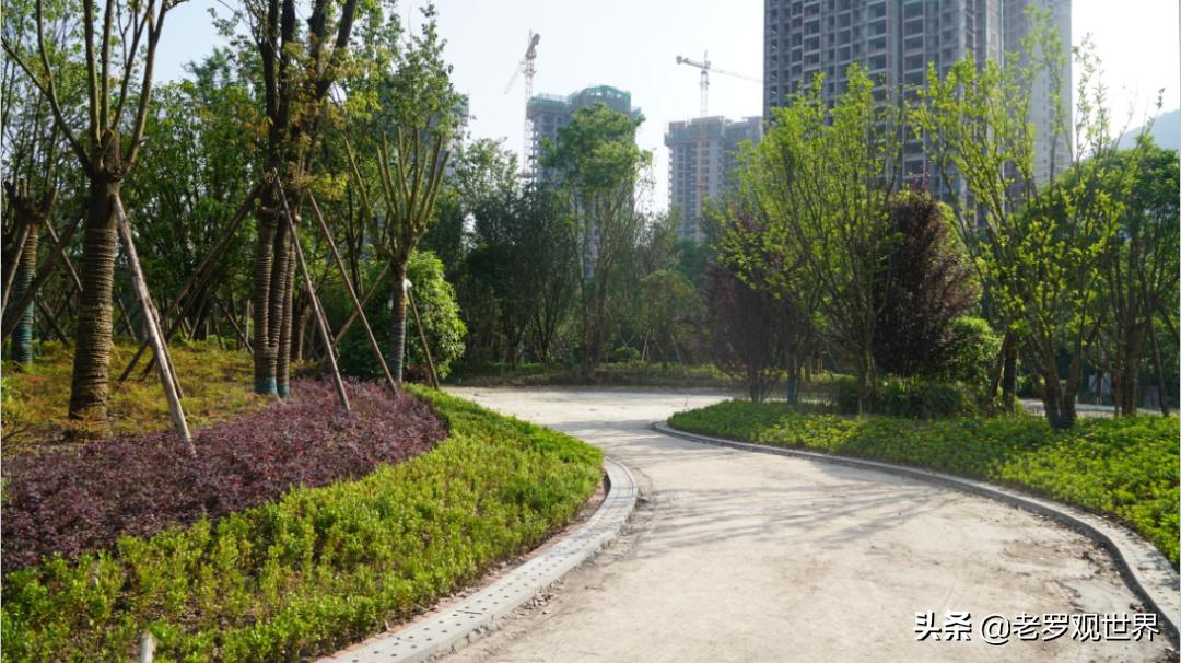 达州高家坝足球运动公园野餐,达州高家坝足球公园直播