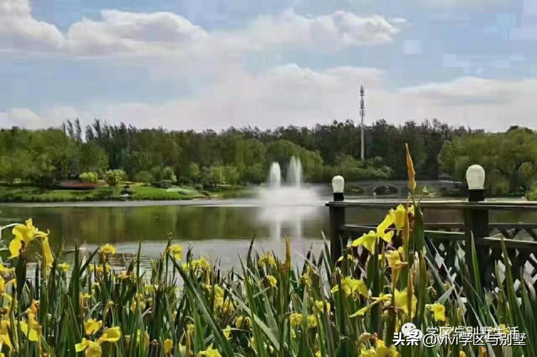 格拉斯小镇别墅外观图,格拉斯小镇2000平别墅