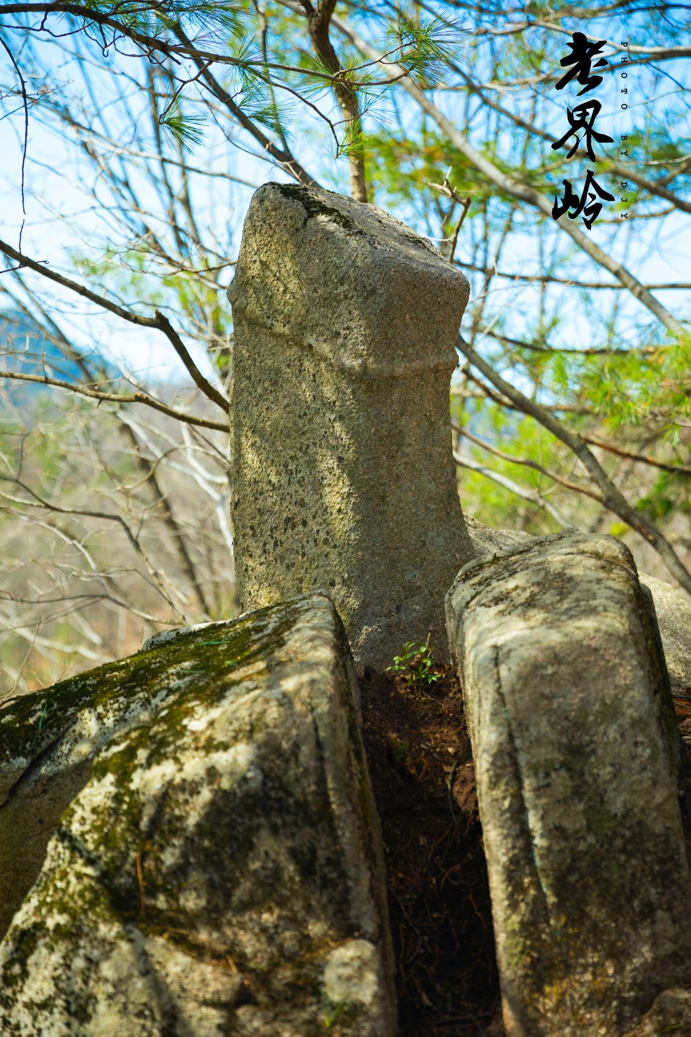游览老界岭的感悟,河南老界岭景区