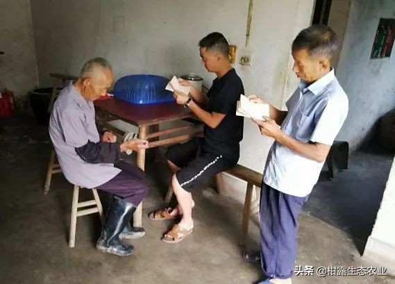 如何查询低保申请进度,毕节阴底乡路朗村2019年低保查询