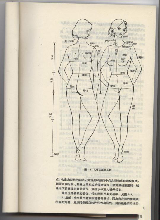 a字半身裙子的裁剪图及制作方法,前面裙子后面裤子裁剪图解