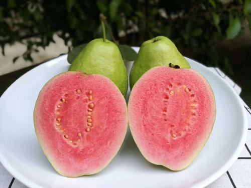 新鲜芭乐吃起来什么口感,软糯香甜的芭乐你吃过吗