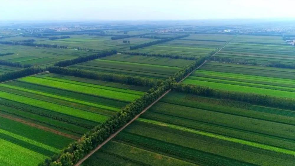 有一种绿绿绿绿绿绿绿，叫赤峰的林