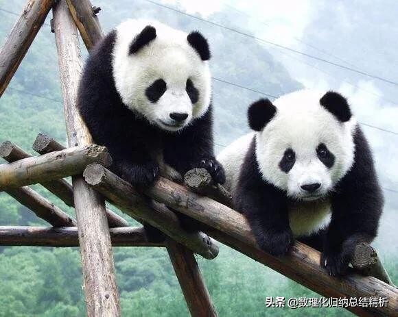 2021陕西中考数学答题规范,南京中考答题规范