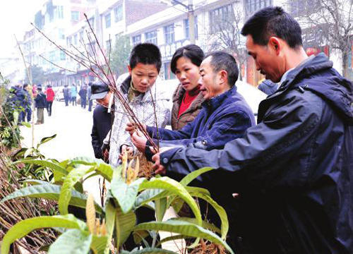 乡镇现在最赚钱的门路,最适合农民的创业门路是什么