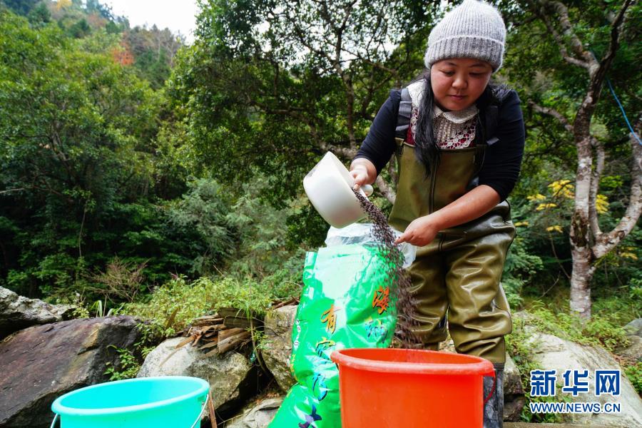 美人鱼白手起家,美人鱼创业