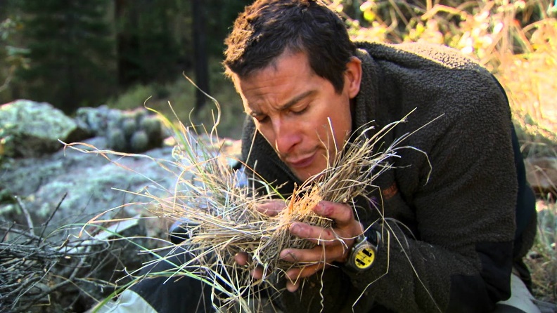 什么都能吃的明星,贝爷参加的节目是什么