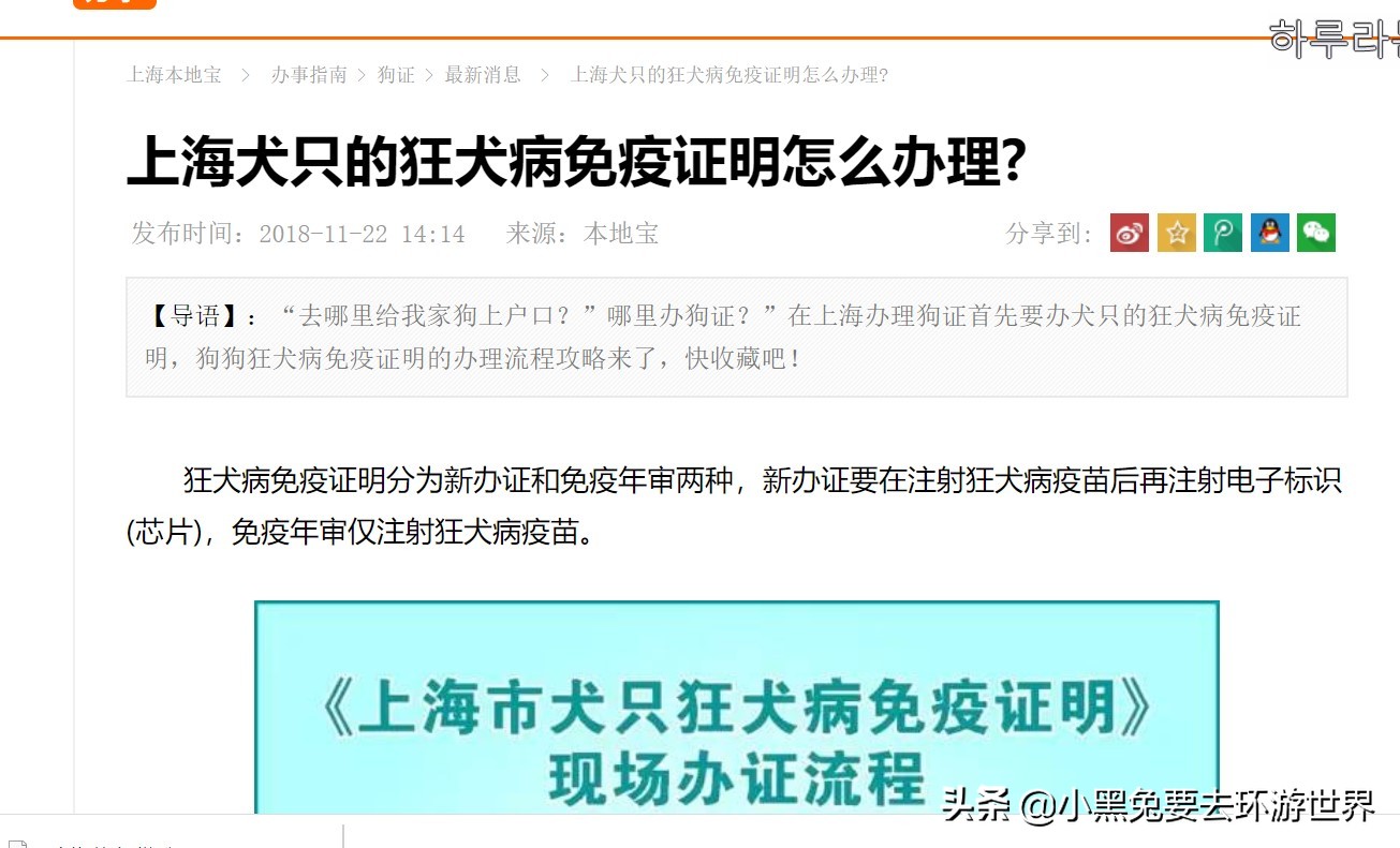 带宠物入境检疫,从境外如何带宠物入境