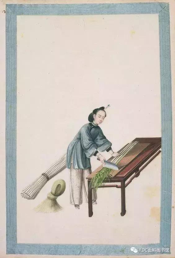 能用来制作面料的植物知多少？（下）