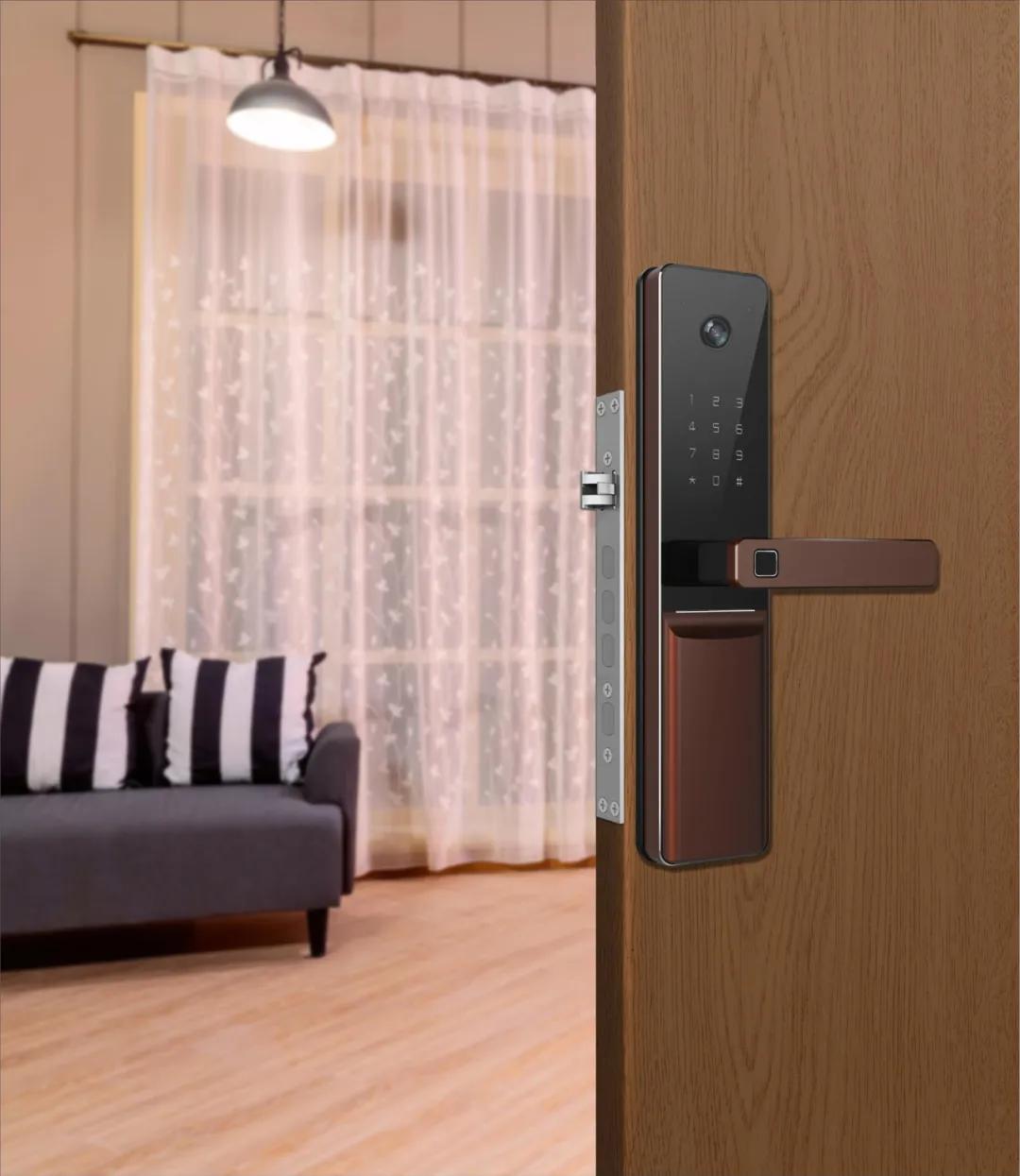 展宏图2019,展宏图事业腾飞