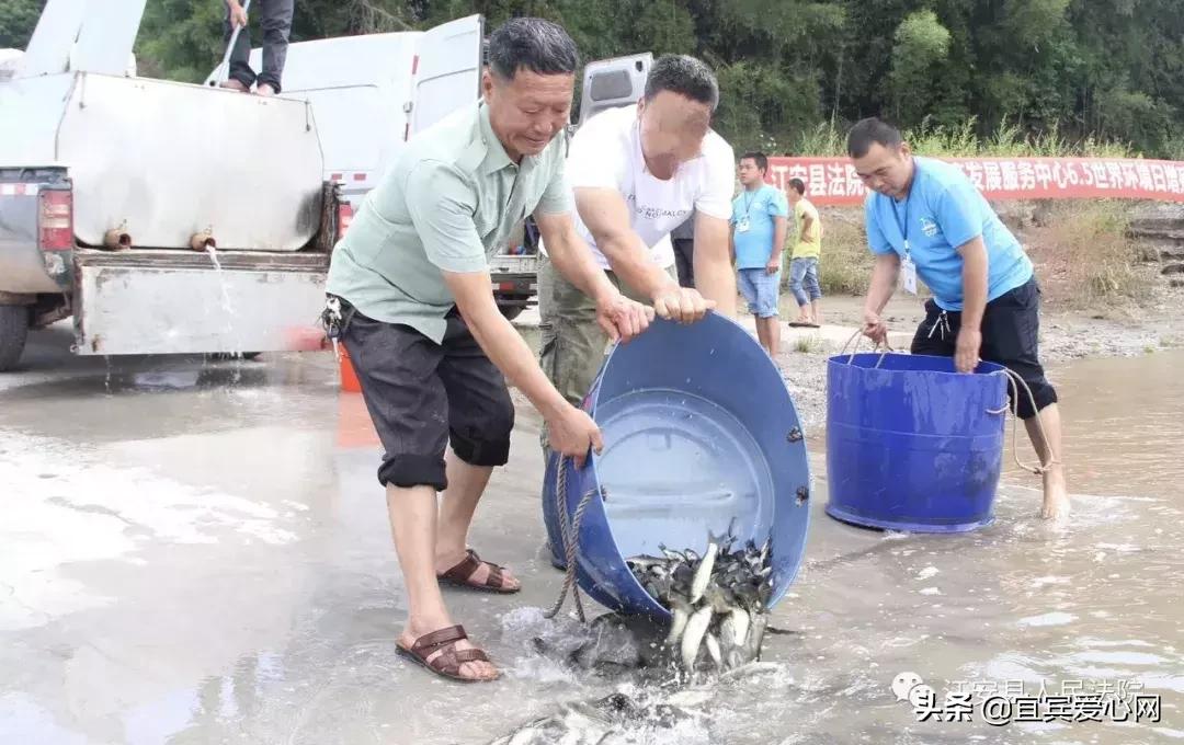 长记性啦,为啥在宜宾不能乱捕泥鳅黄鳝?江安县法院有话说