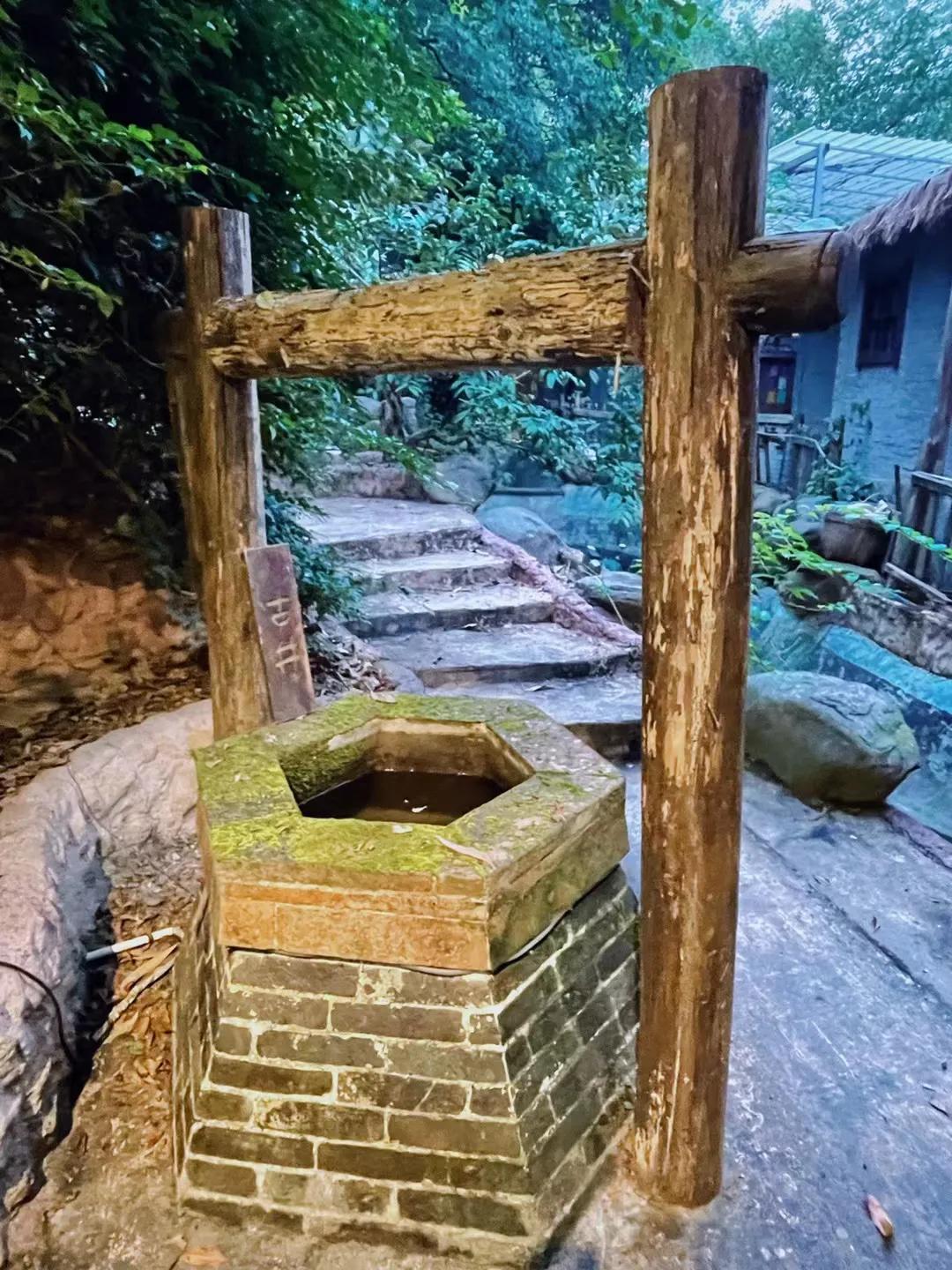 新会特色农庄,新会好玩又好吃的农庄