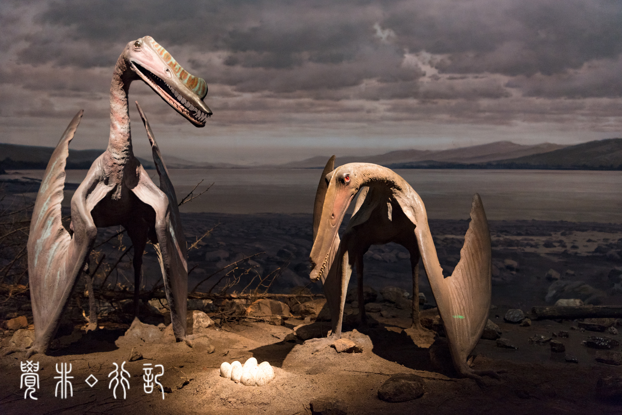 国家海洋博物馆又被称为海上故宫,天津国家海洋博物馆预约电话