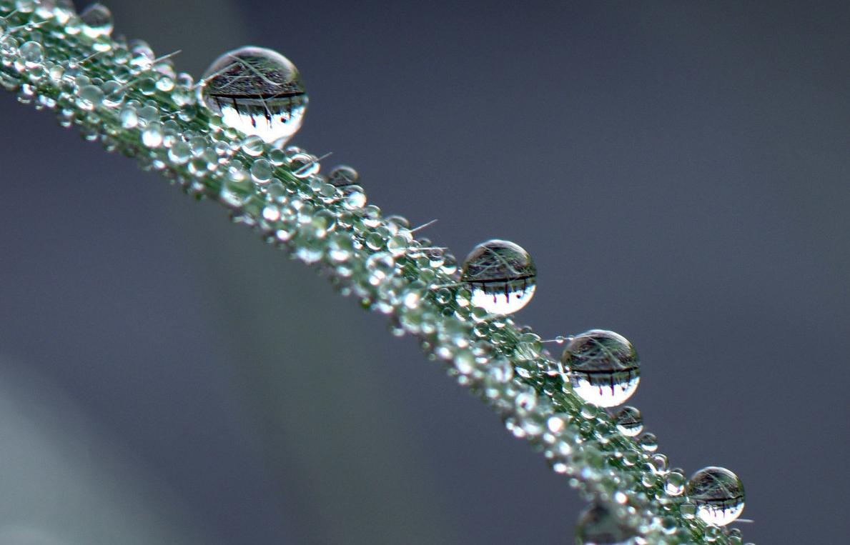 期货交易法则及方法,期货趋势交易和波段交易的取舍