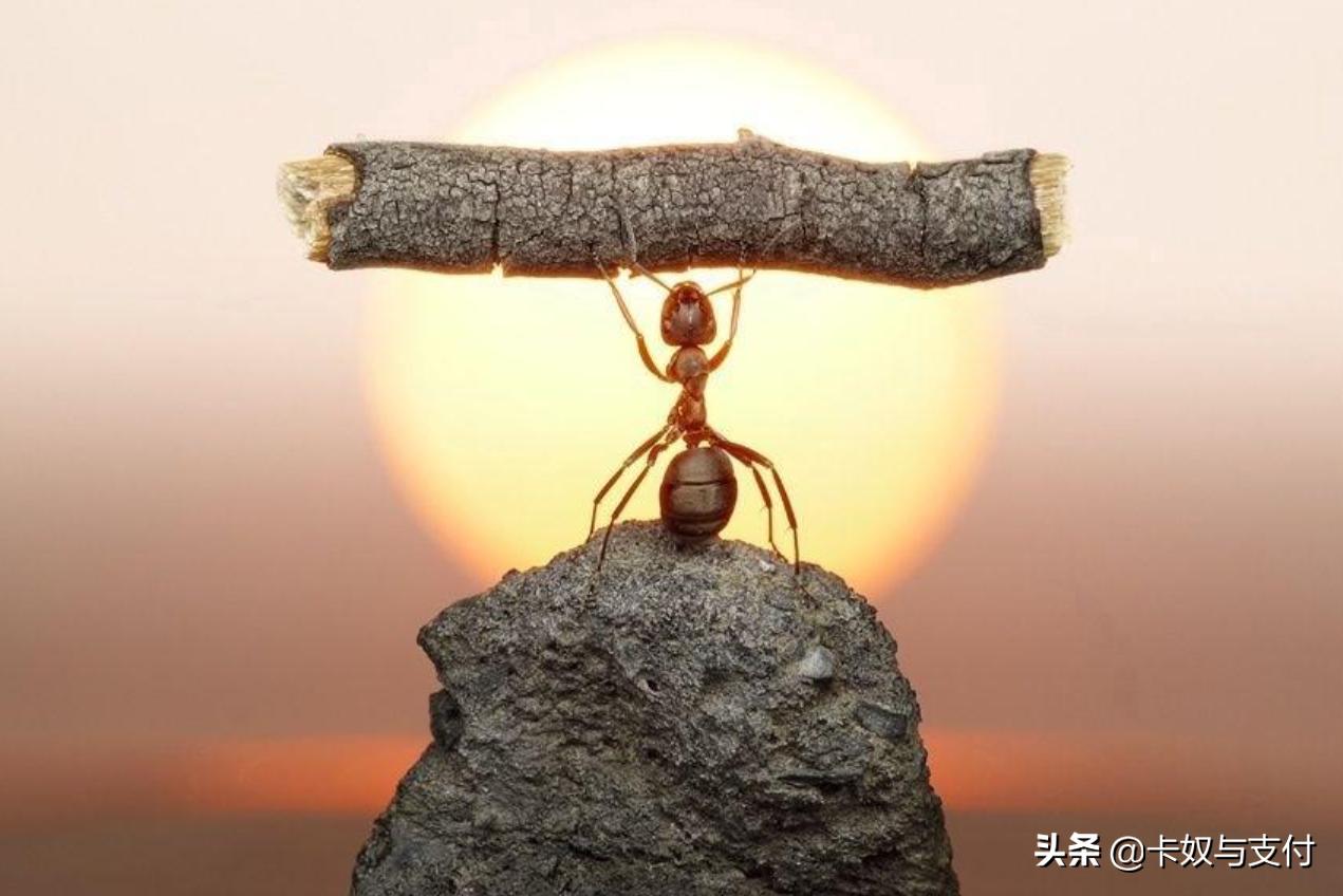 银行“零售大王”，招商银行的套路太深，原来它一直在布局