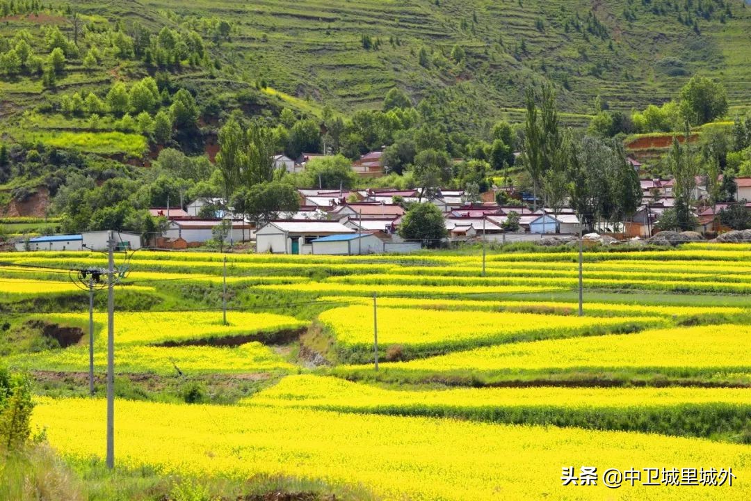 宁夏最穷人口最少的市,宁夏最富的县vs宁夏最穷的县