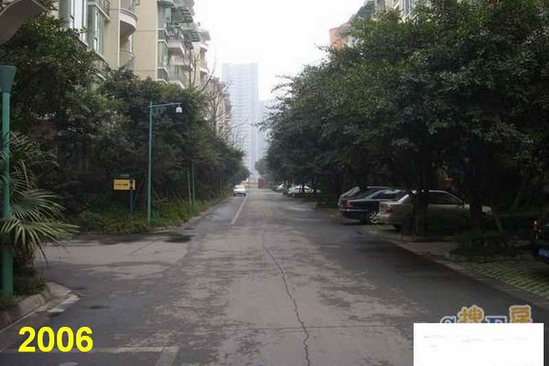 成都网友投诉怡丰新城小区榕树成灾危及行人，高新管委会回应