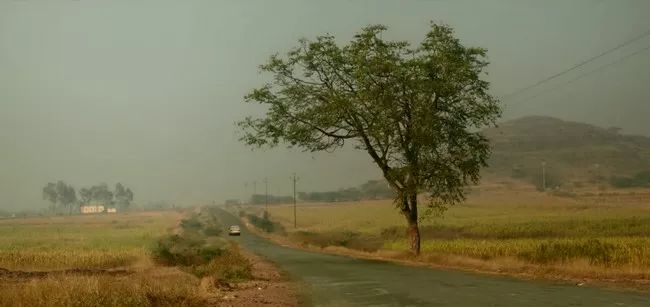 调琴师需要多少功底,调琴师的培养