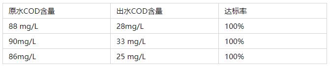 污水深度处理技术,城镇污水的深度处理