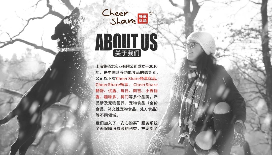 畅享一夏萌宠洗护,畅享宠物