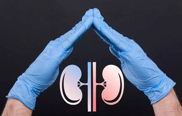 慢性肾炎和慢性肾小球肾炎,慢性肾小球肾炎与慢性肾衰竭区别