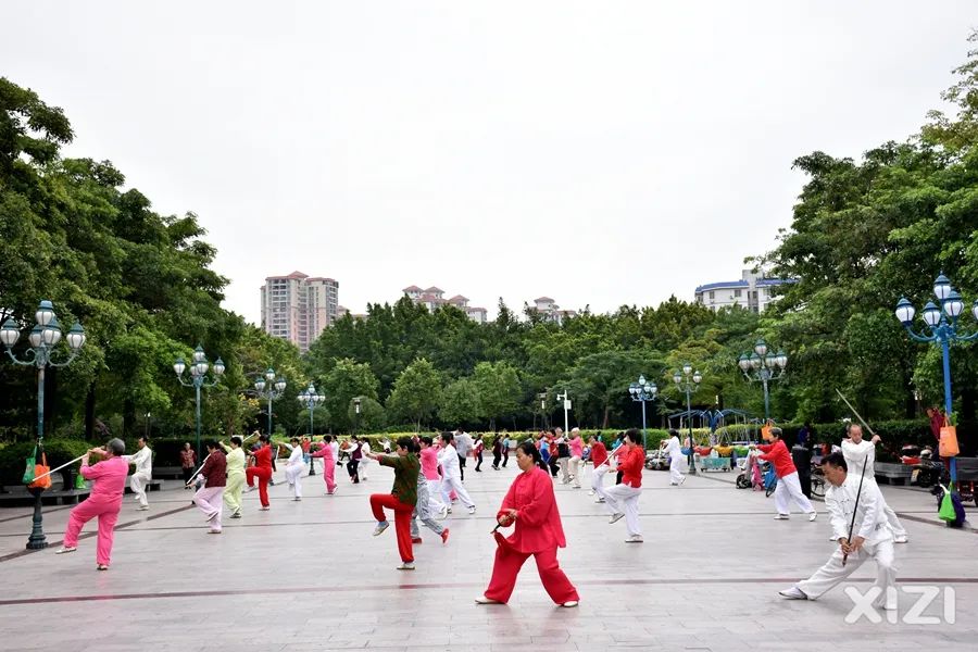 美丽鹅城,最美鹅城