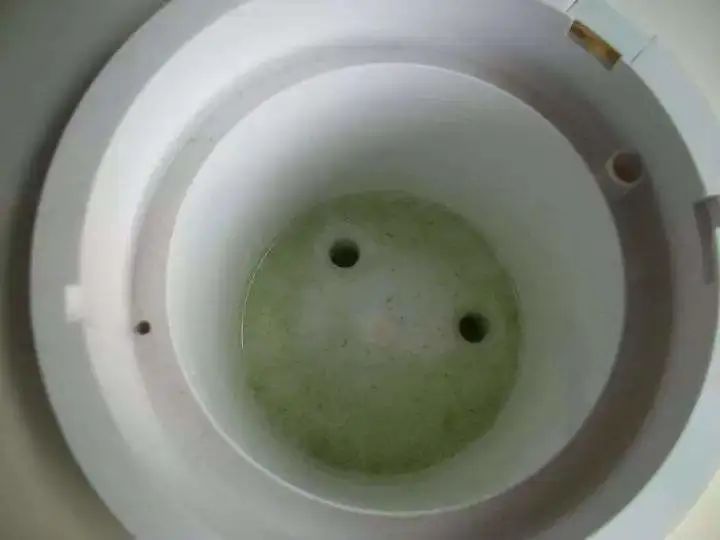 自家用饮水机好还是用净水器好,家里安了净水器用什么饮水机好