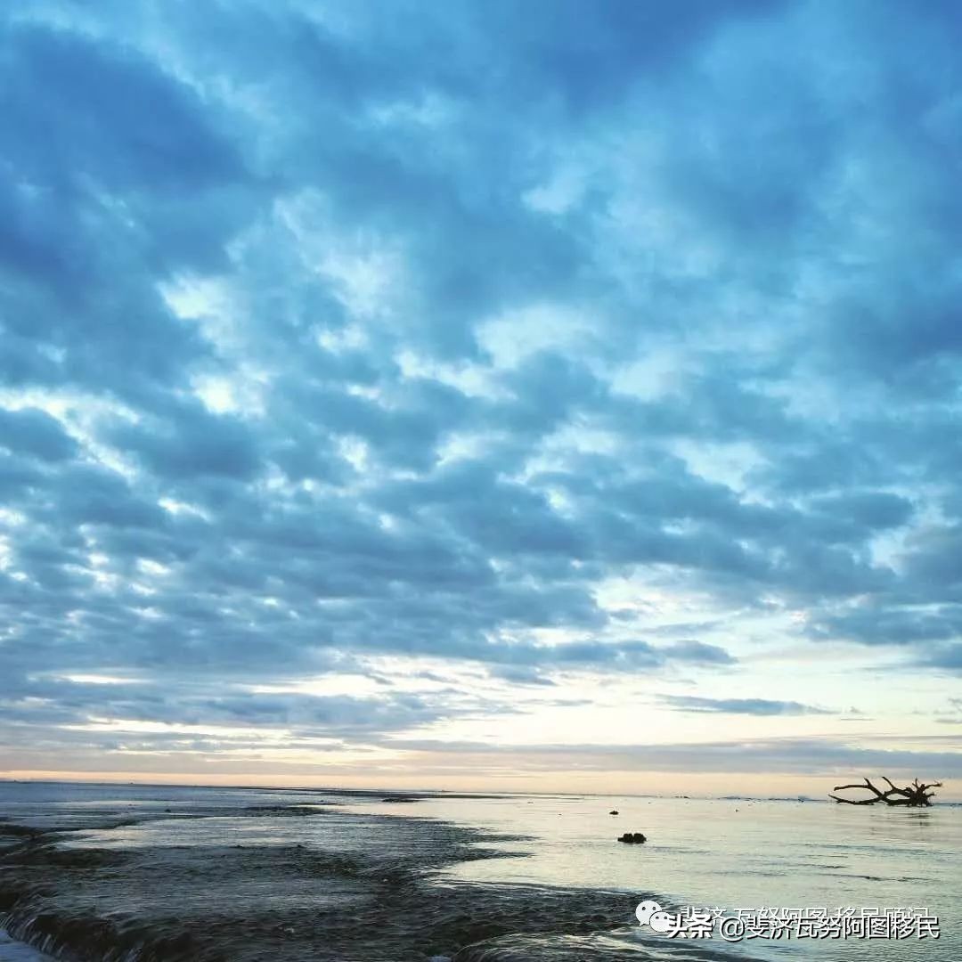 带你走进斐济,斐济华人真实生活