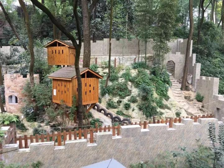 4.13重庆逐梦歌乐山上的“巴学园”探索“世界级乡村幼儿园