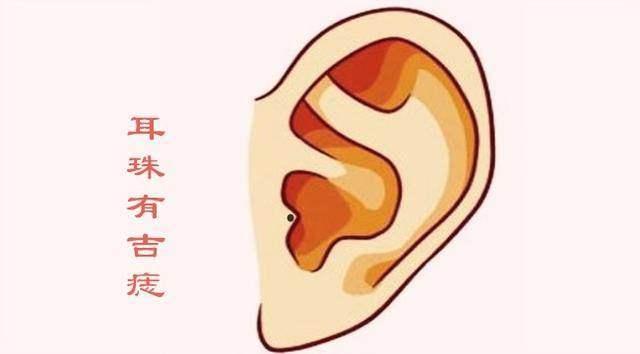 有痣的各个部位不好的痣详细图,各个部位有痣代表好看