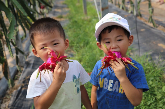 小孩大便带血医生说没事,1周岁宝宝大便带血丝