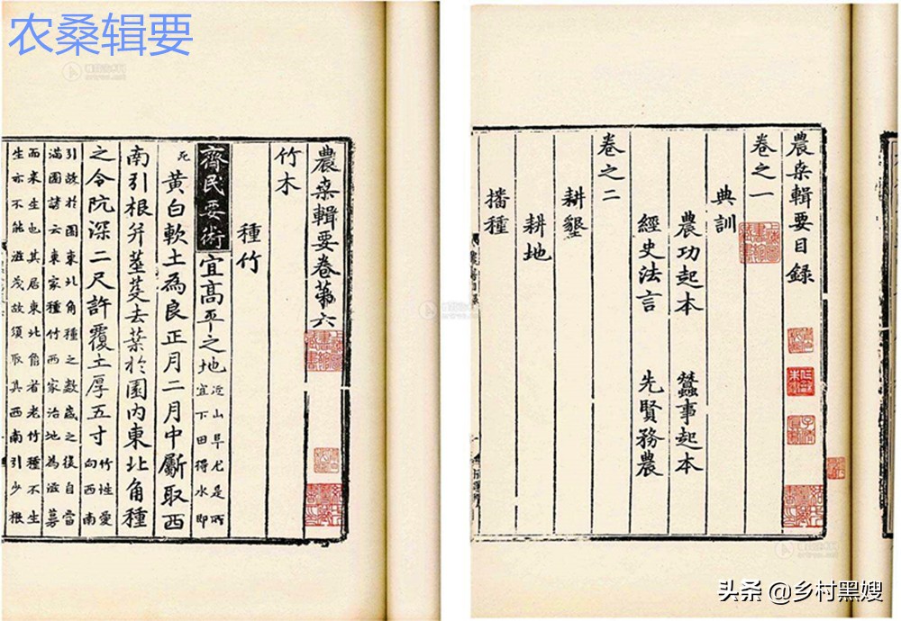 高粱的缺点,高粱为什么有点苦