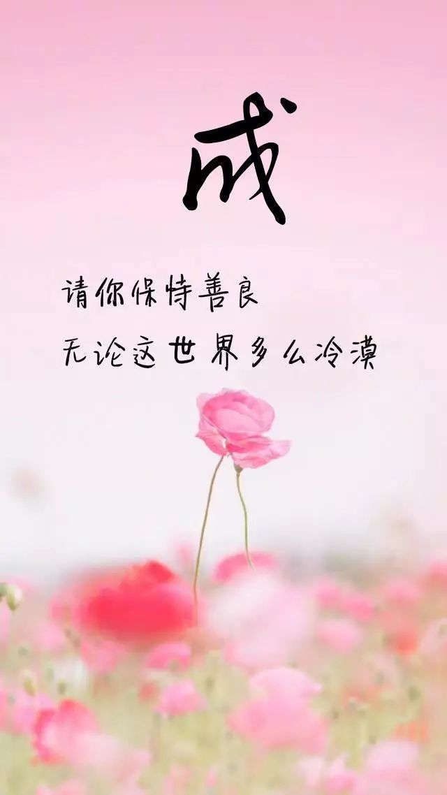 珠宝翡翠艺术字体,翡翠字体图片欣赏