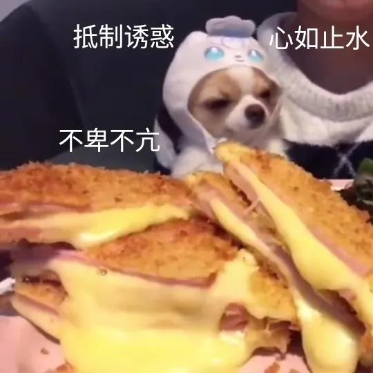 鍗庤タ鍖婚櫌鐨偆绉戞潕钀岃悓,鍗庤タ鐨偆绉戞潕钀岃悓