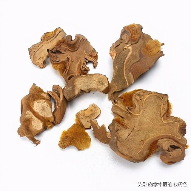 狗脊贯众中药,狗脊中药图片