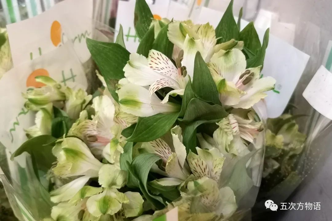 鲜切花都有哪些品牌,花卉市场买的月季不知道品种