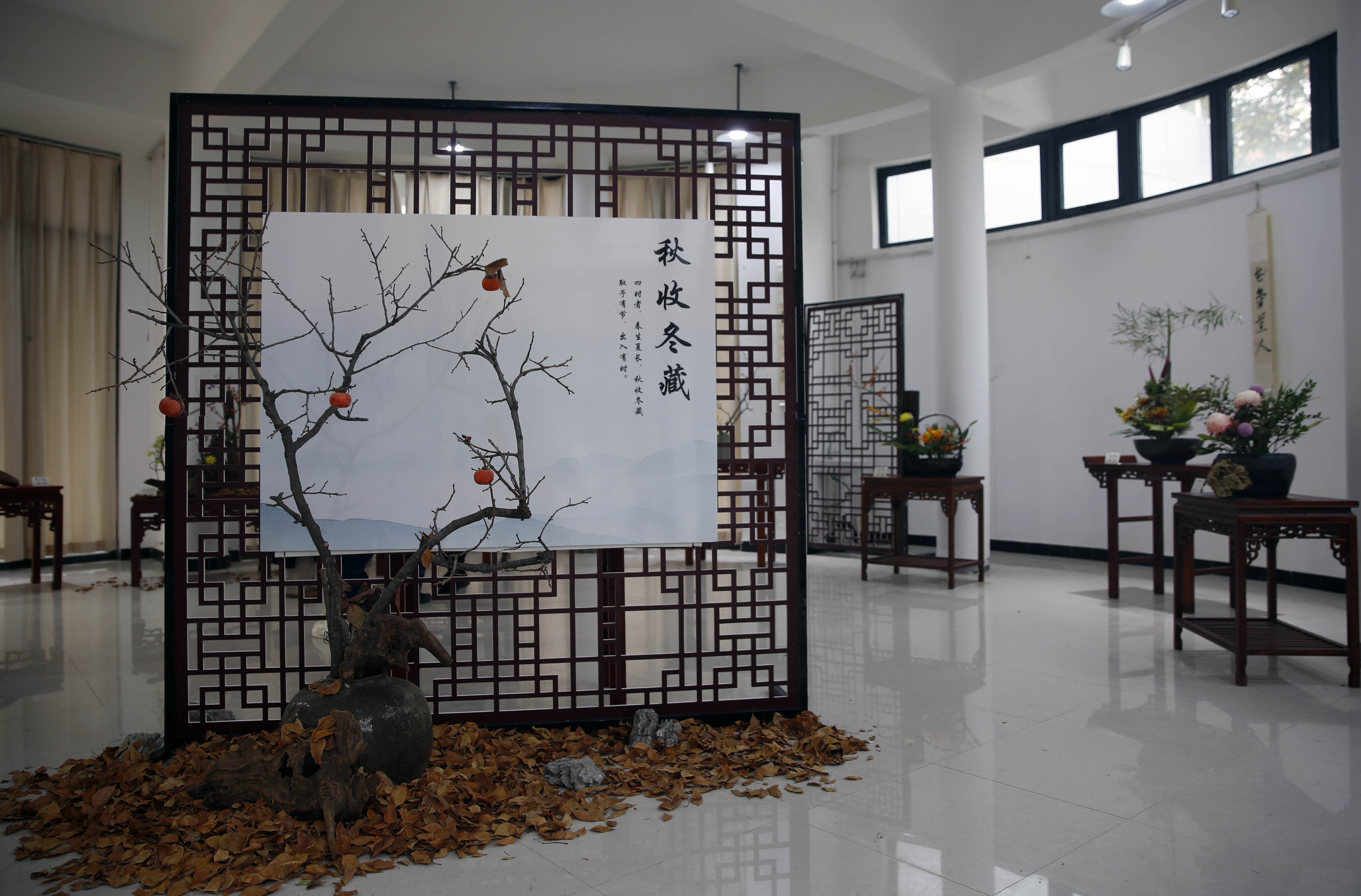 问景,问景的意思