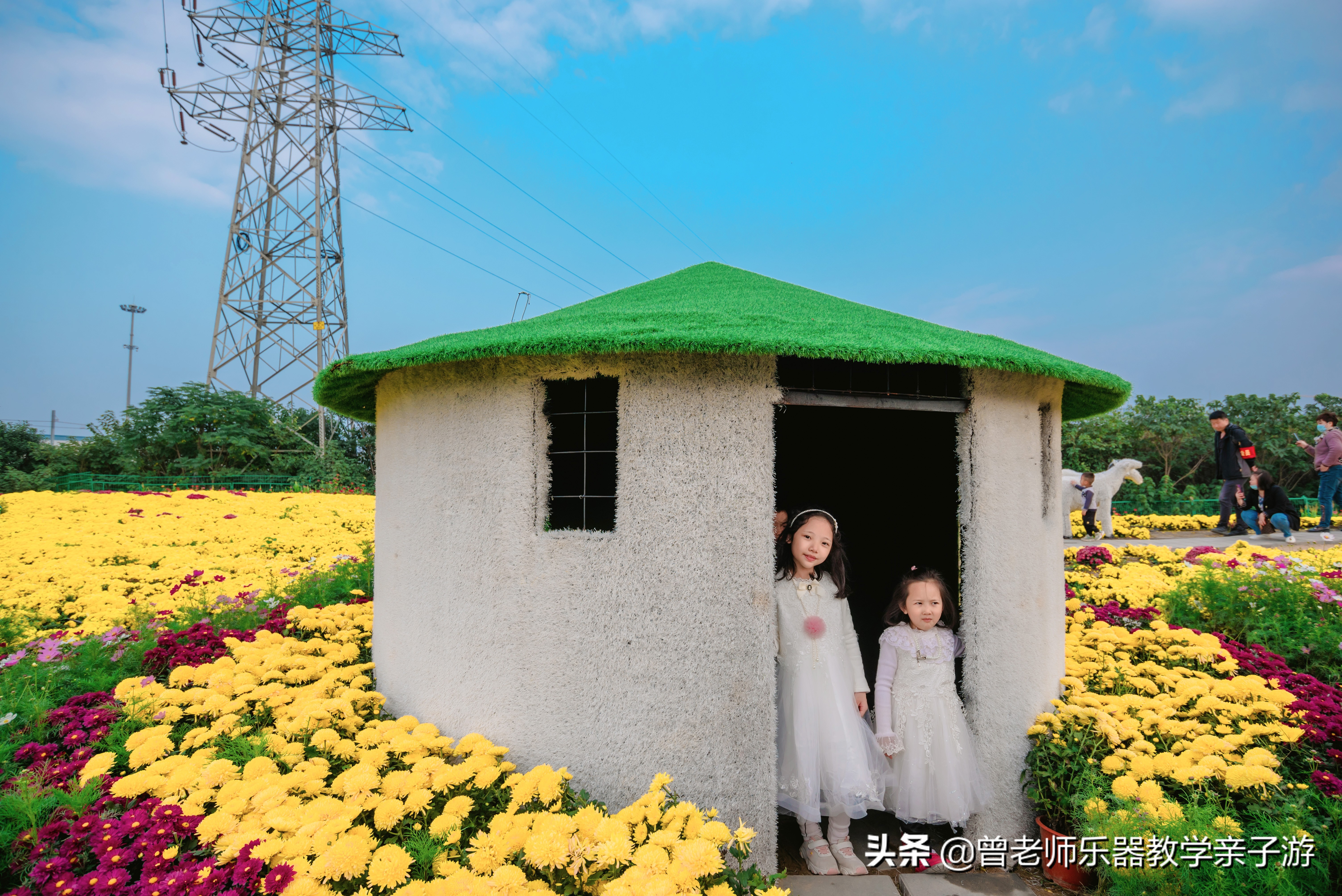 爱菊研学游,爱菊丝路文化菊花园西安