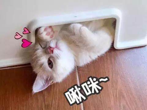 黑眼圈淡斑,色素型黑眼圈太重怎么调理