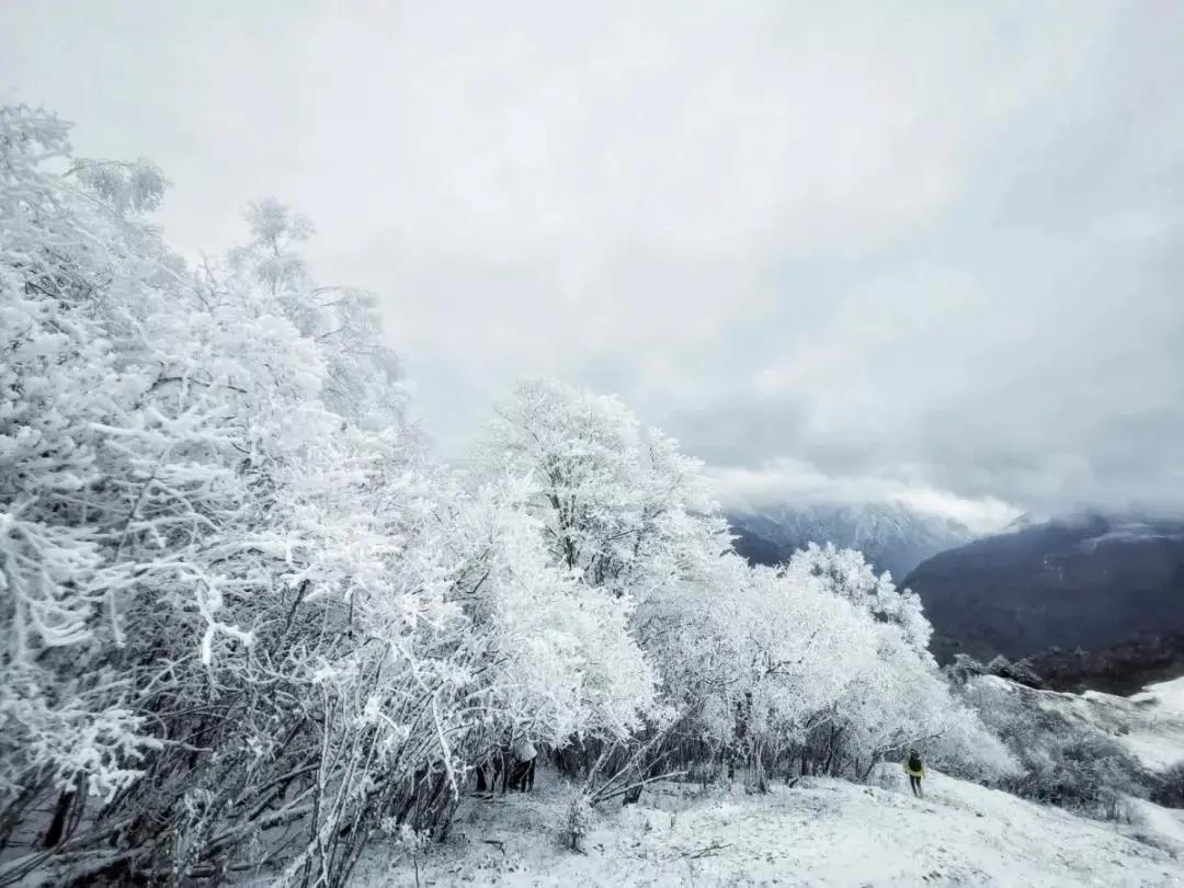 成都周边冰雪游攻略一日游推荐,成都周边冰雪旅游