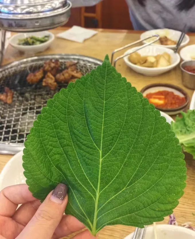 济州岛俩人旅游攻略,济州岛双人跟团旅游费用