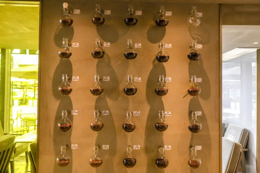 成都东郊记忆之前的样子,成都东郊记忆全景