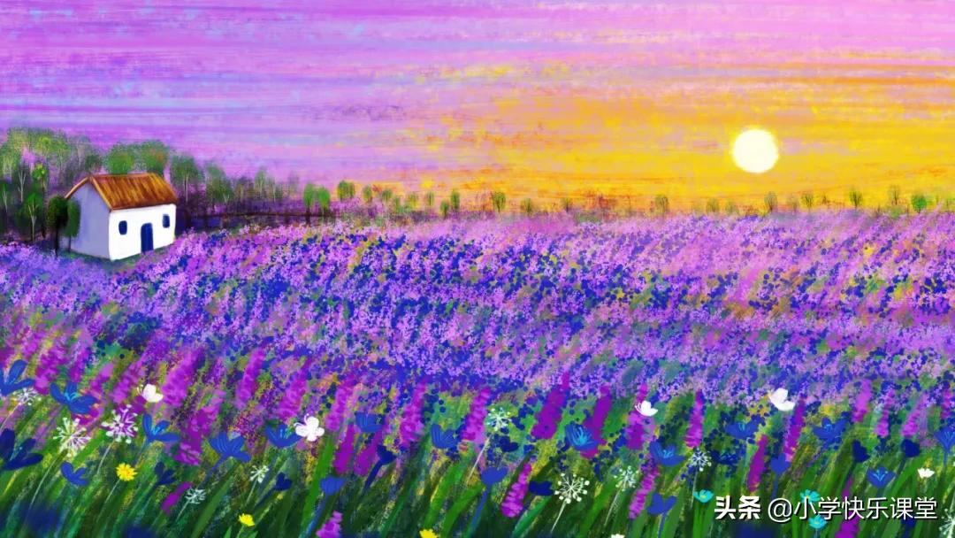 手绢上的花田读后感小学,手绢上的花田读后感好词好句