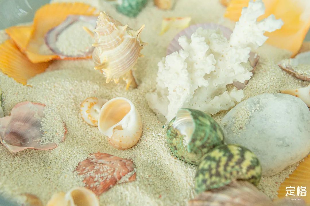 沙井万丰哪里的生蚝好吃,深圳沙井生蚝最出名店