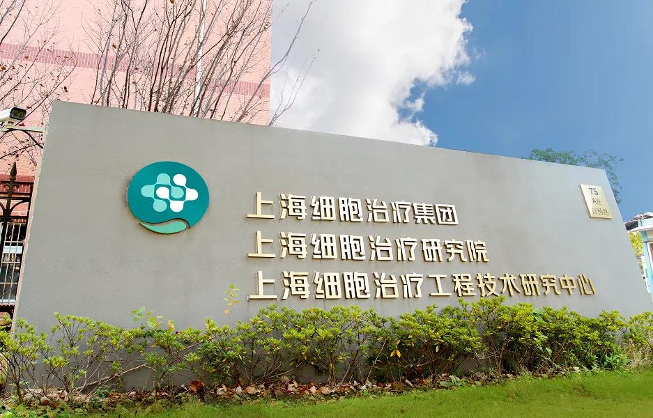 白血病的克星都是什么,白血病最好的克星